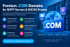 Domain name .com  1 year